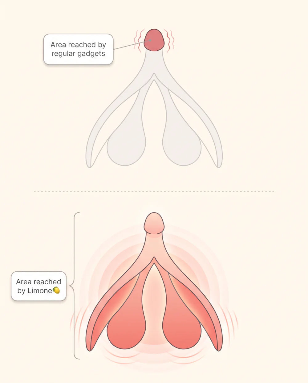 Diagram comparing the small external area reached by regular gadgets with the full internal clitoral structure reached by the Limone